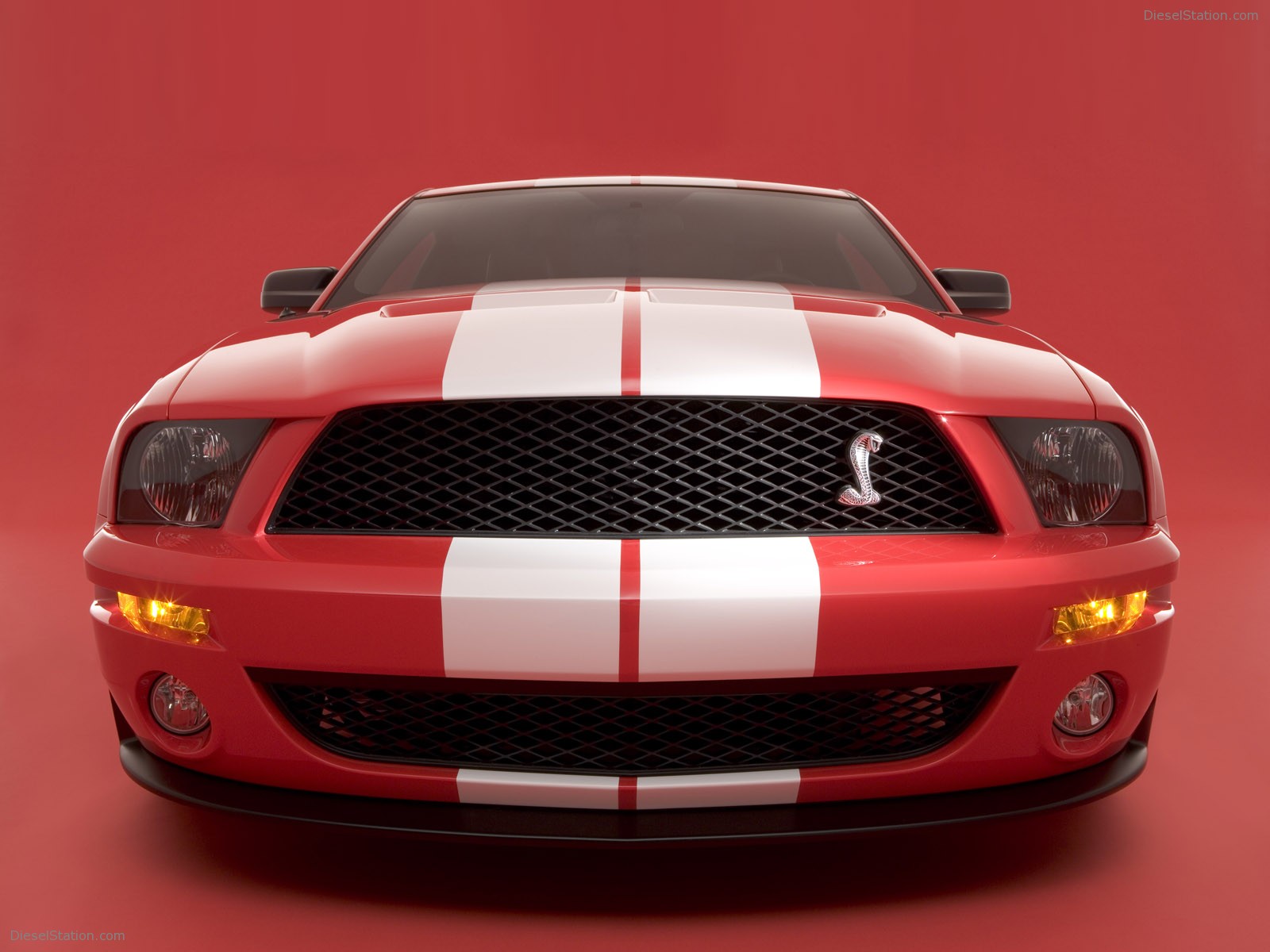 Ford Shelby Cobra GT500